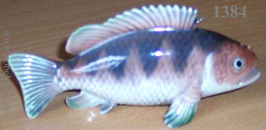 R�dfisk. L. 13 cm.  kr 1250.-