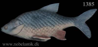 Havskalle - L. 13,5 cm. - 750.-